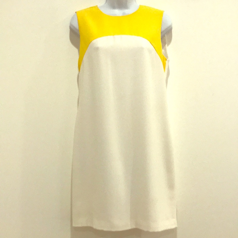 ❤️ Zara white and yellow sleeve dress